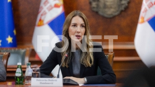 Razvoj gasnog sektora